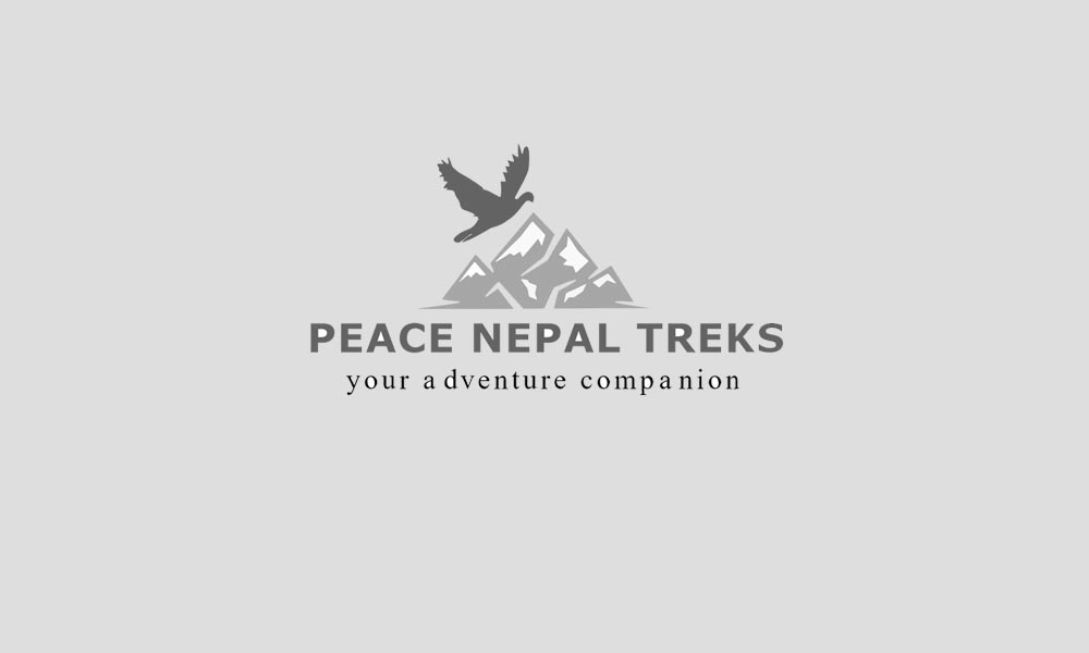 Blog banner