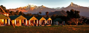 tea house australian camp