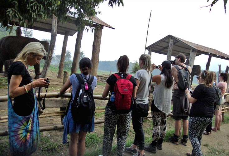 Easy Trekking Packages