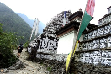tibetan