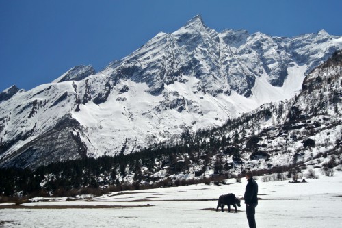 mountain