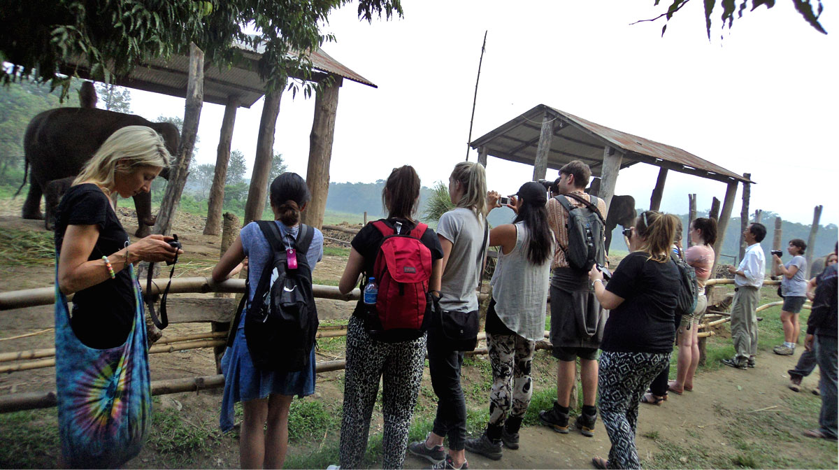 Easy Trekking Packages