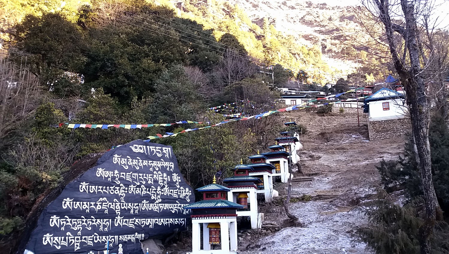 Pikey Peak Trek