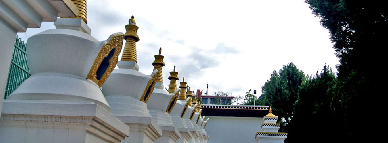 Monastery & Village Homestay Tour