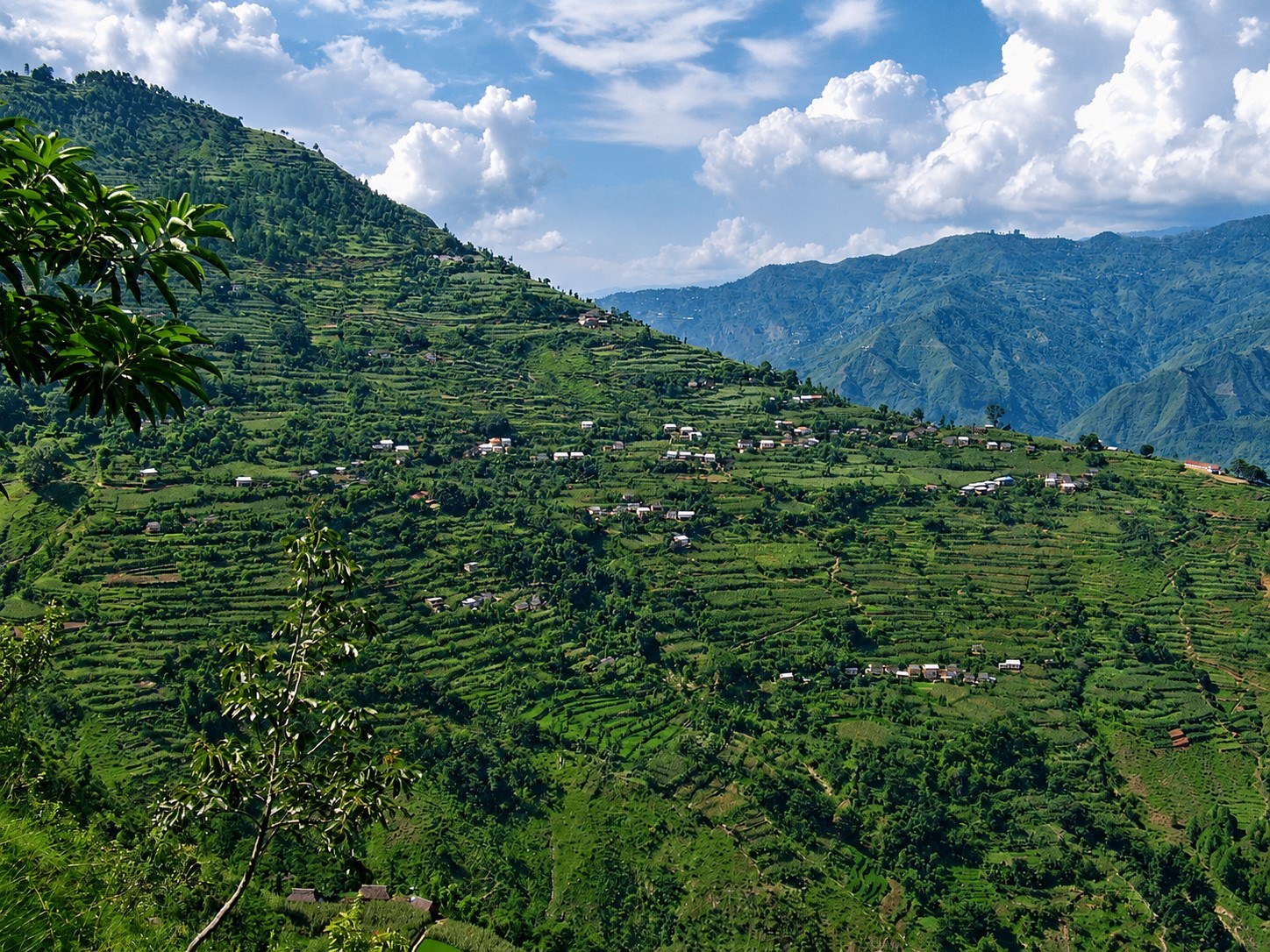 Local Village Homestay