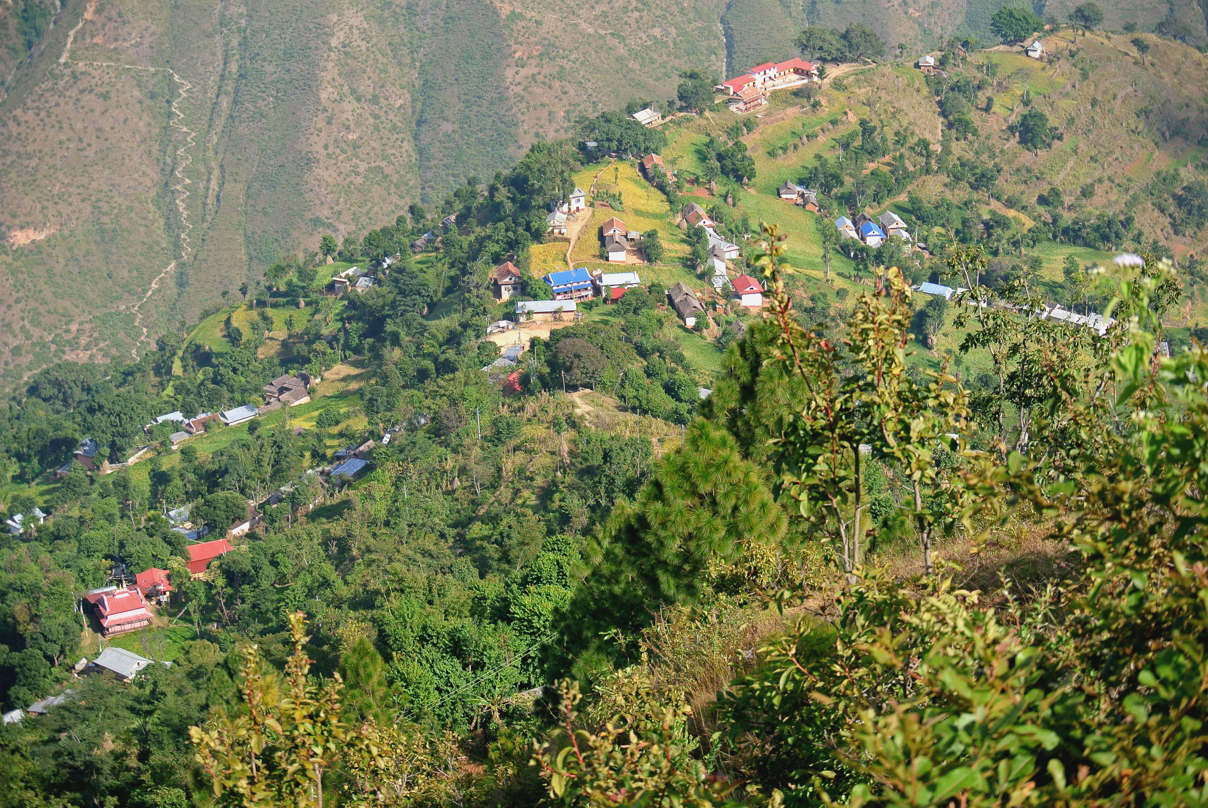 Volunteer in Village School